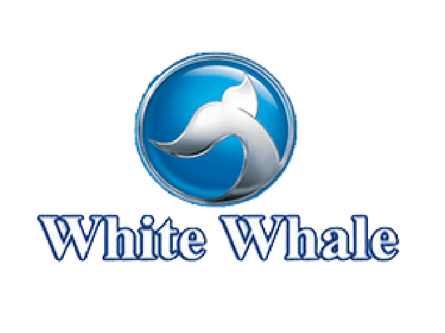 White Whale