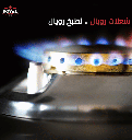 بوتجاز رويال فاست 90 مروحه