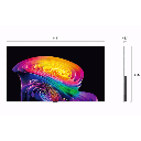 شاشه ال جي 55 اوليد OLED55CS6VA